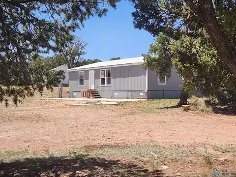 65 Longhorn, Pie Town, NM 87827