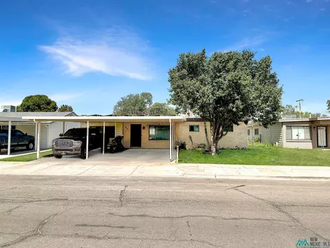 1711 N Breckon Dr, Hobbs, NM 88240