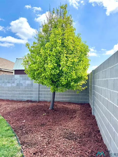 1221 Broadway, Clovis, NM 88101 photo 43