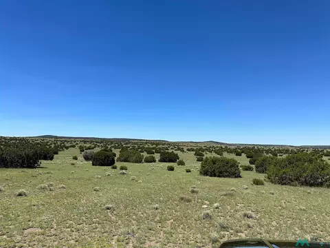 92 Northern, Quemado, NM 87829