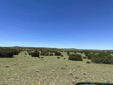 92 Northern Rd, Quemado, NM 87829