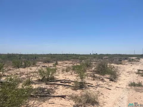 509 S 41st Street St, Artesia, NM 88210