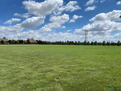911 Curran Dr, Clovis, NM 88101 photo 1