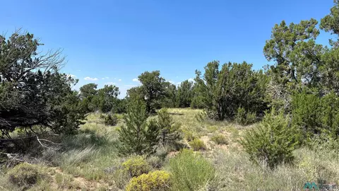 W Homestead, Fence Lake, NM 87315