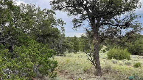 Elk Pass, Pie Town, NM 87827