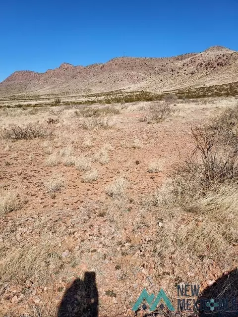SE Pinto Rd Se, Deming, NM 88030