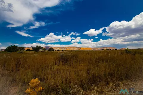 tbd E Navarre Blvd, Thoreau, NM 87323