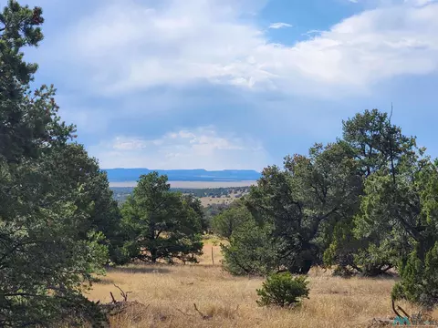 136 Ponderosa View Loop Rd, Pie Town, NM 87827
