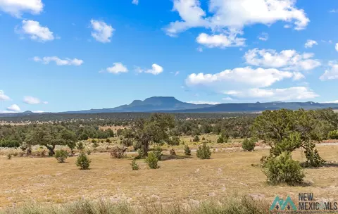 180 Old Stage, Datil, NM 87821 photo 5