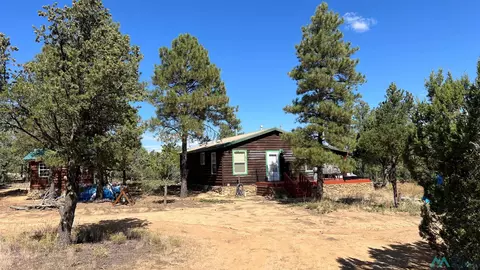 36 Dove Vly, Pie Town, NM 87827
