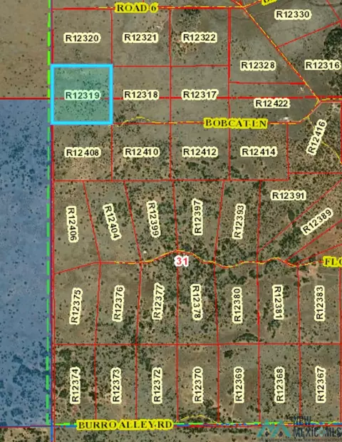lot61 Bobcat Ln, Ramah, NM 87357