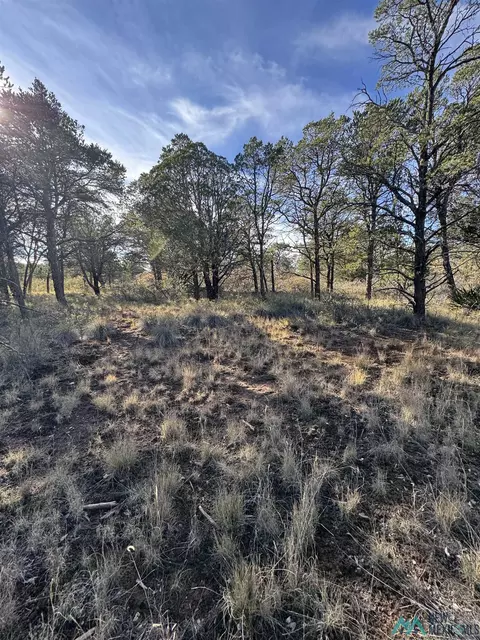 29 Forrest Loop, Timberon, NM 88350 photo 1