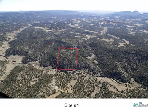 Goat Ranch Road, Pie Town, NM 87827