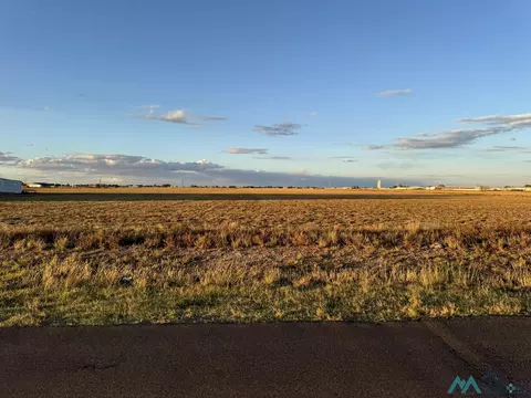 Wilhite Dr, Clovis, NM 88101 photo 4
