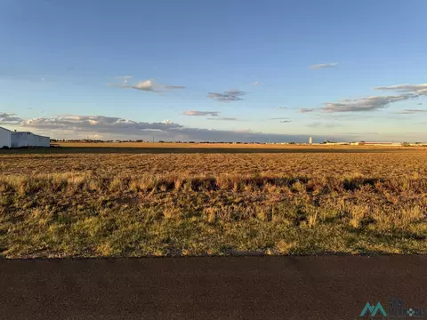 Wilhite Dr, Clovis, NM 88101 photo 3