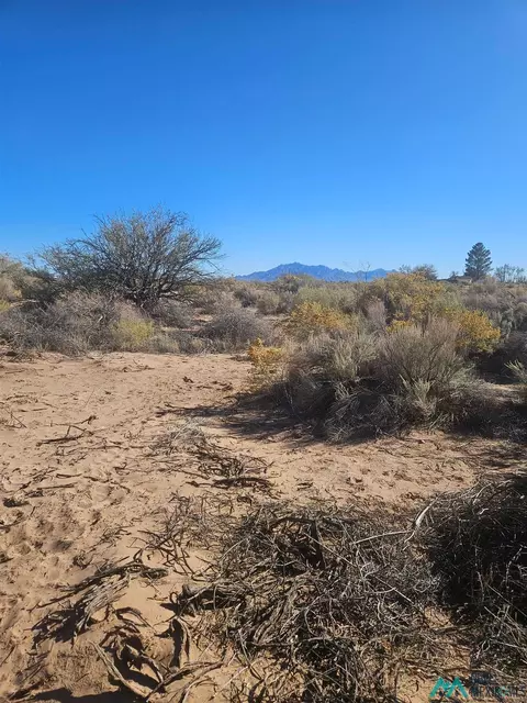 SW Ocotillo Rd Sw, Deming, NM 88030