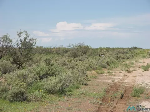 Camino Dos Rd Sw, Deming, NM 88030