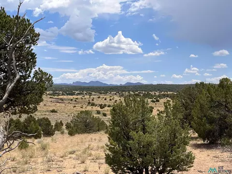 3 Ponderosa St, Pie Town, NM 87827