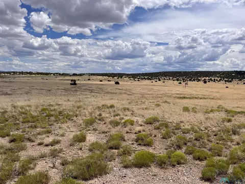 lot144 Quail Dr, Quemado, NM 87829