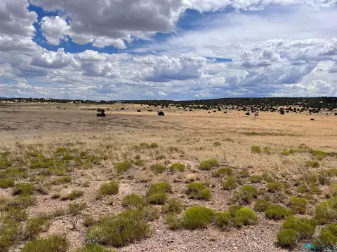 144 Quail Dr, Quemado, NM 87829