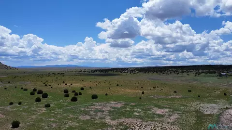 lot145 Quail Dr, Quemado, NM 87829