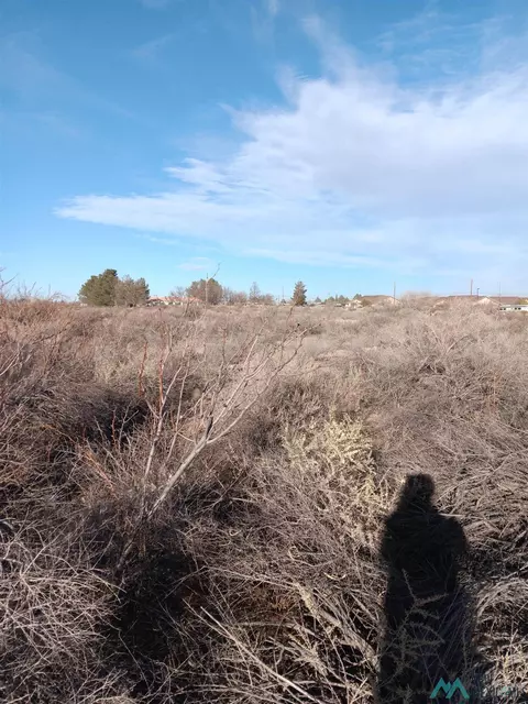 S Shelly Dr, Deming, NM 88030