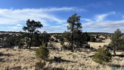 27 Equestrian Lane Rd, Quemado, NM 87829