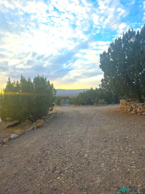 241 Hooker Loop, Gila, NM 88038 photo 31