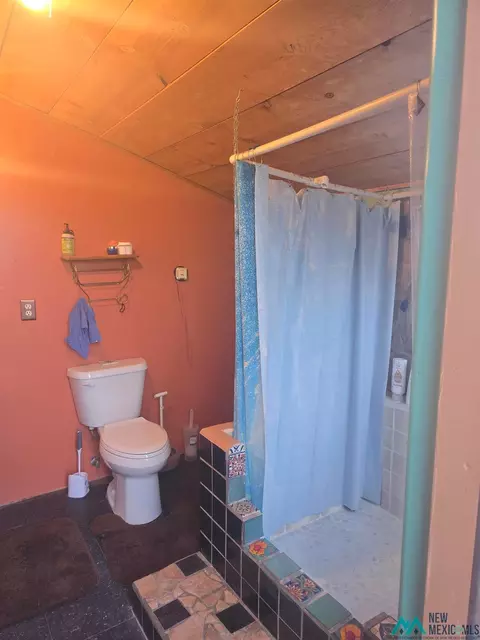 241 Hooker Loop, Gila, NM 88038 photo 28