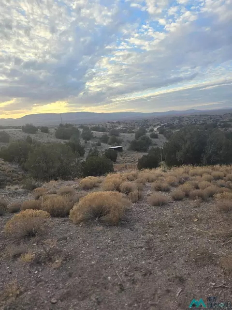 241 Hooker Loop, Gila, NM 88038 photo 33