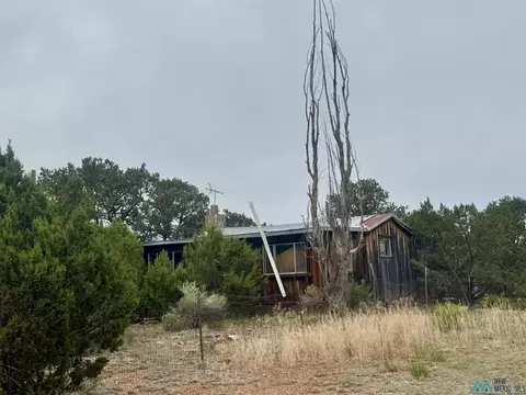 4 Dorothy Dr, Prewitt, NM 87045 photo 1
