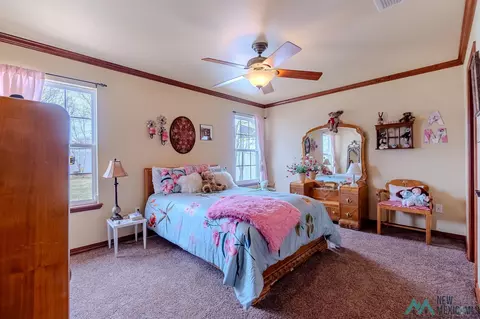 3900 Springwood Dr, Clovis, NM 88101 photo 45