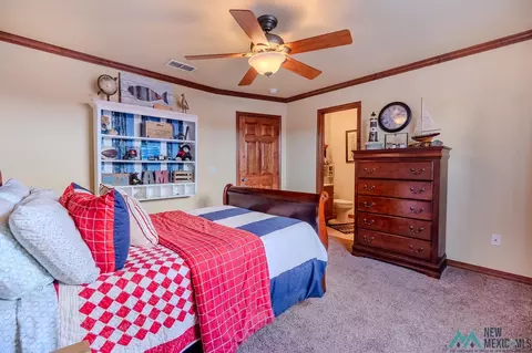 3900 Springwood Dr, Clovis, NM 88101 photo 44