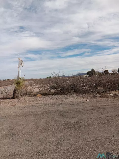 S Saddler St, Deming, NM 88030