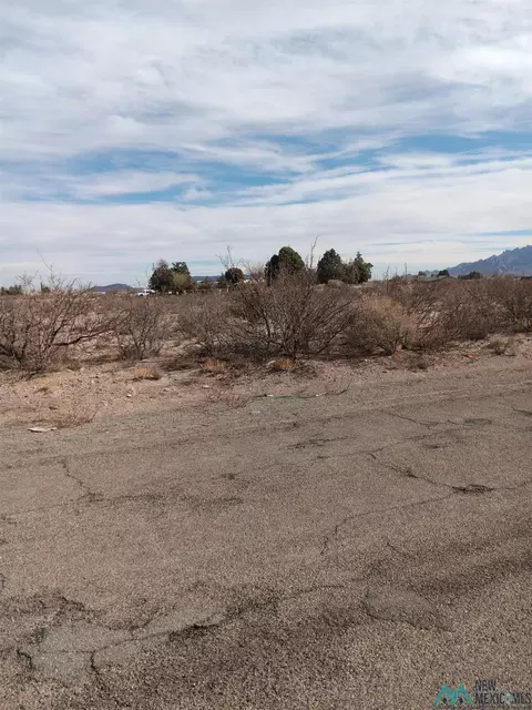 S Saddler St, Deming, NM 88030