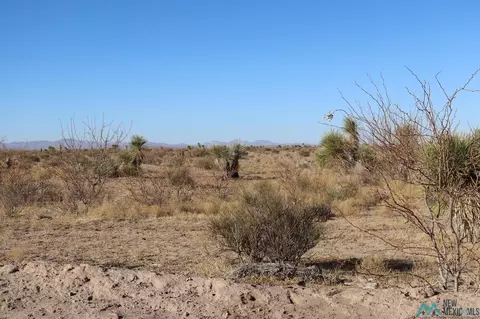 Lucca Rd Sw, Deming, NM 88030