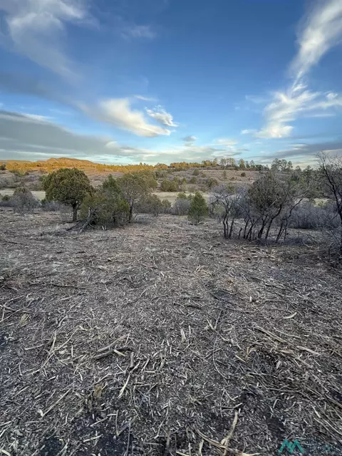 169 Eldrado Dr, Timberon, NM 88350
