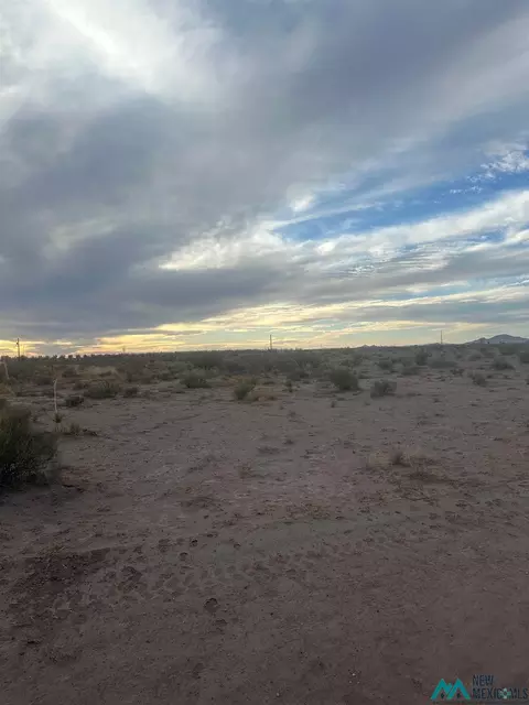 Delphine Rd Sw, Deming, NM 88030