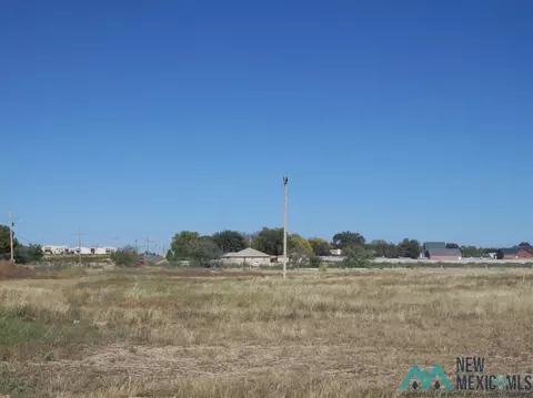 1002 Pistachio Trl, Artesia, NM 88210