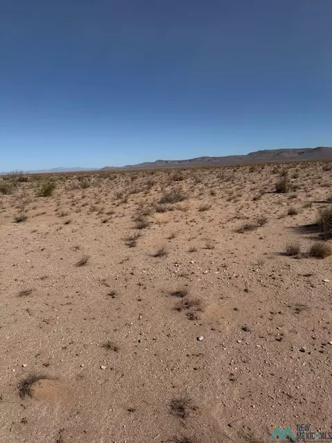 Solo Runway, Deming, NM 88030