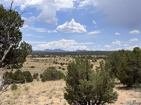 Undisclosed, Pie Town, NM 87827