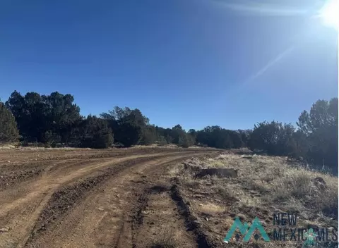 320 Acres Apache Mesa Ave, Los Montoyas, NM 87701