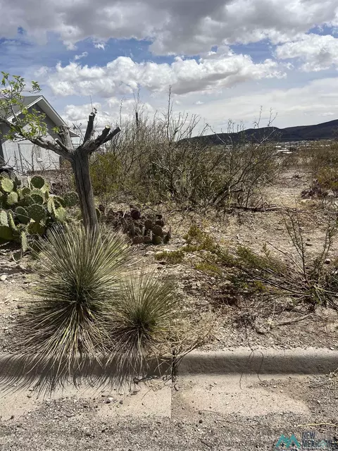 907 Grape St, Truth Or Consequences, NM 87901