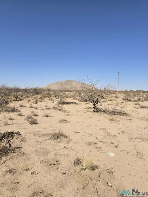 00 Rosa Rd SW, Deming, NM 88030