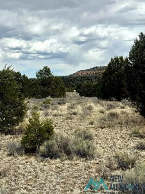 16 Five Gate Rd, Pinehill, NM 87357 photo 6