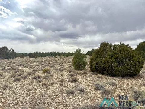 16 Five Gate Rd, Pinehill, NM 87357 photo 8
