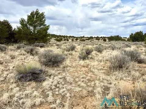 16 Five Gate Rd, Pinehill, NM 87357 photo 13