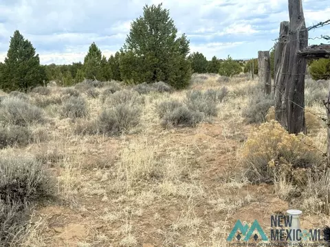 16 Five Gate Rd, Pinehill, NM 87357 photo 15