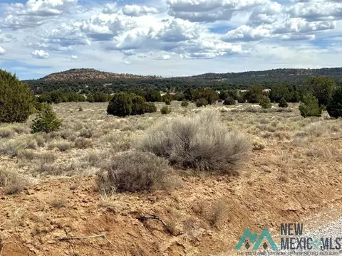 16 Five Gate Rd, Pinehill, NM 87357 photo 4