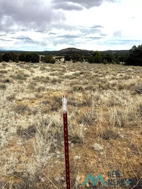 16 Five Gate Rd, Pinehill, NM 87357 photo 7